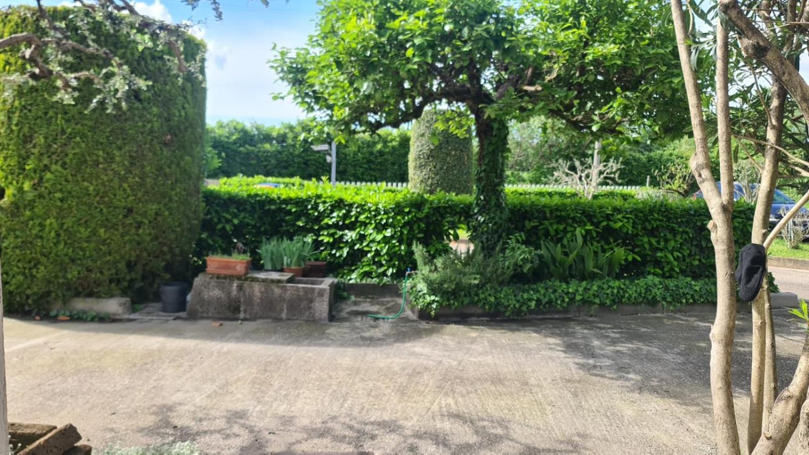 B&B Via Del Cristo Πάδοβα Εξωτερικό φωτογραφία
